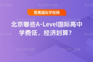 ЩA-Level(gu)HЌW(xu)M(fi)ͣ(jng)(j)㣿