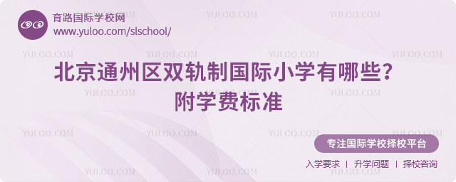 2025年北京通州區雙軌制國際小學有哪些