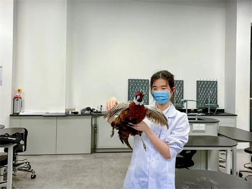 德閎優(yōu)秀畢業(yè)生