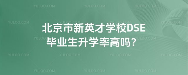 北京市新英才學校DSE畢業生升學率高嗎