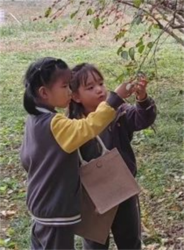 朝陽凱文學前班課堂體驗