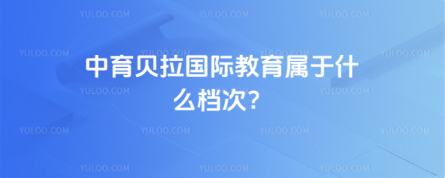 中育貝拉國際教育屬于什么檔次