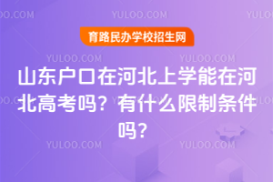 ɽ|ںӱόW(xu)ںӱ߿᣿ʲôƗl᣿