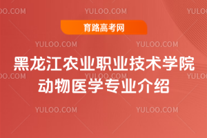 r(nng)I(y)I(y)g(sh)WԺt(y)WI(y)B