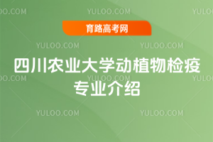 Ĵr(nng)I(y)WֲzߌI(y)B