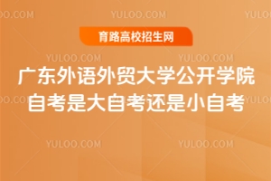 廣東外語外貿(mào)大學公開學院自考是大自考還是小自考？