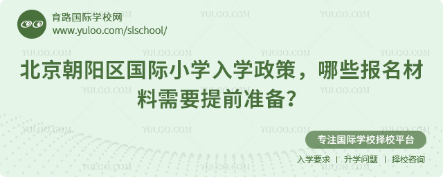 2026年北京朝陽區國際小學入學政策