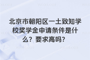 北京市朝陽區一土致知學校獎學金申請條件是什么?要求高嗎?