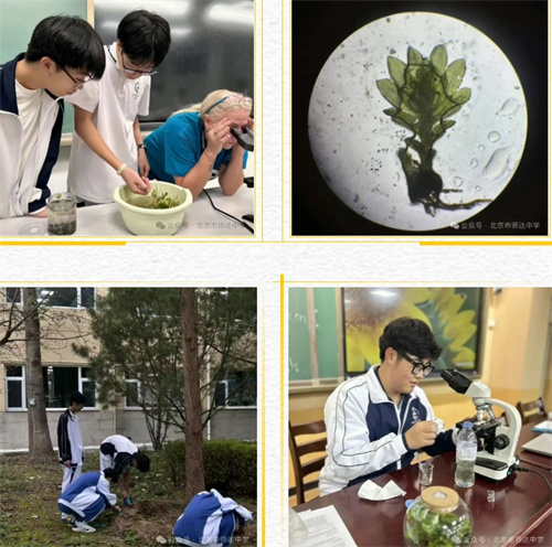 北京市師達(dá)中學(xué)國(guó)際部