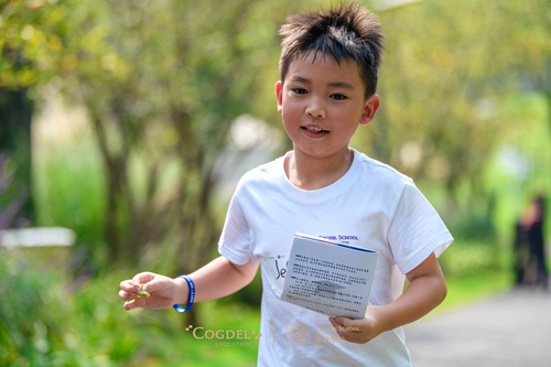 成都市大邑康禮外國語學校學費