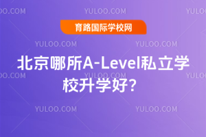 A-Level˽W(xu)УW(xu)ã