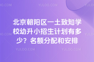 北京朝陽區一土致知學校幼升小招生計劃有多少？名額分配和安排