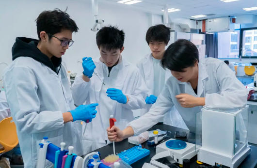 ꖄPSTEMо2025ȌWgɹl