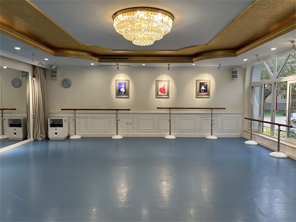 北京忠德學(xué)校探校真實體驗