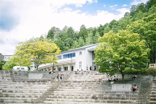 中育貝拉藝術升學路徑