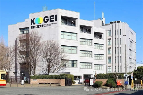 中育貝拉藝術升學路徑