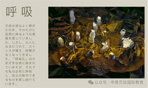 中育貝拉藝術升學路徑