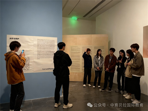 中育貝拉藝術升學路徑