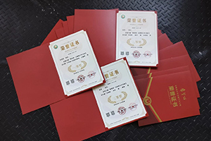 張家口未來學校學子在國家級書畫大展中斬獲多項大獎！