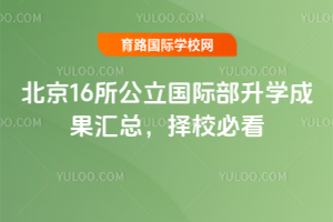北京16所公立國際部2025年升學(xué)成果匯總,2026年擇校必看